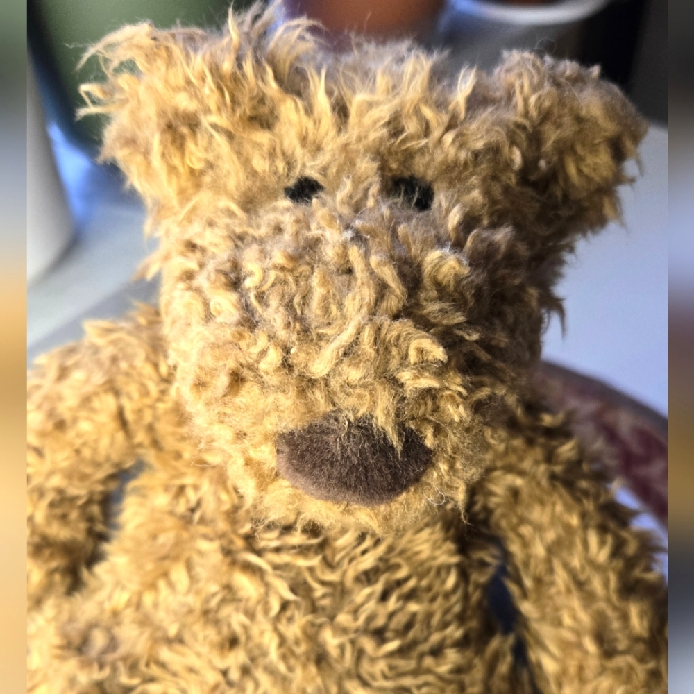 Gund Shaggy Brown Bear Plush - Schlepp 2417